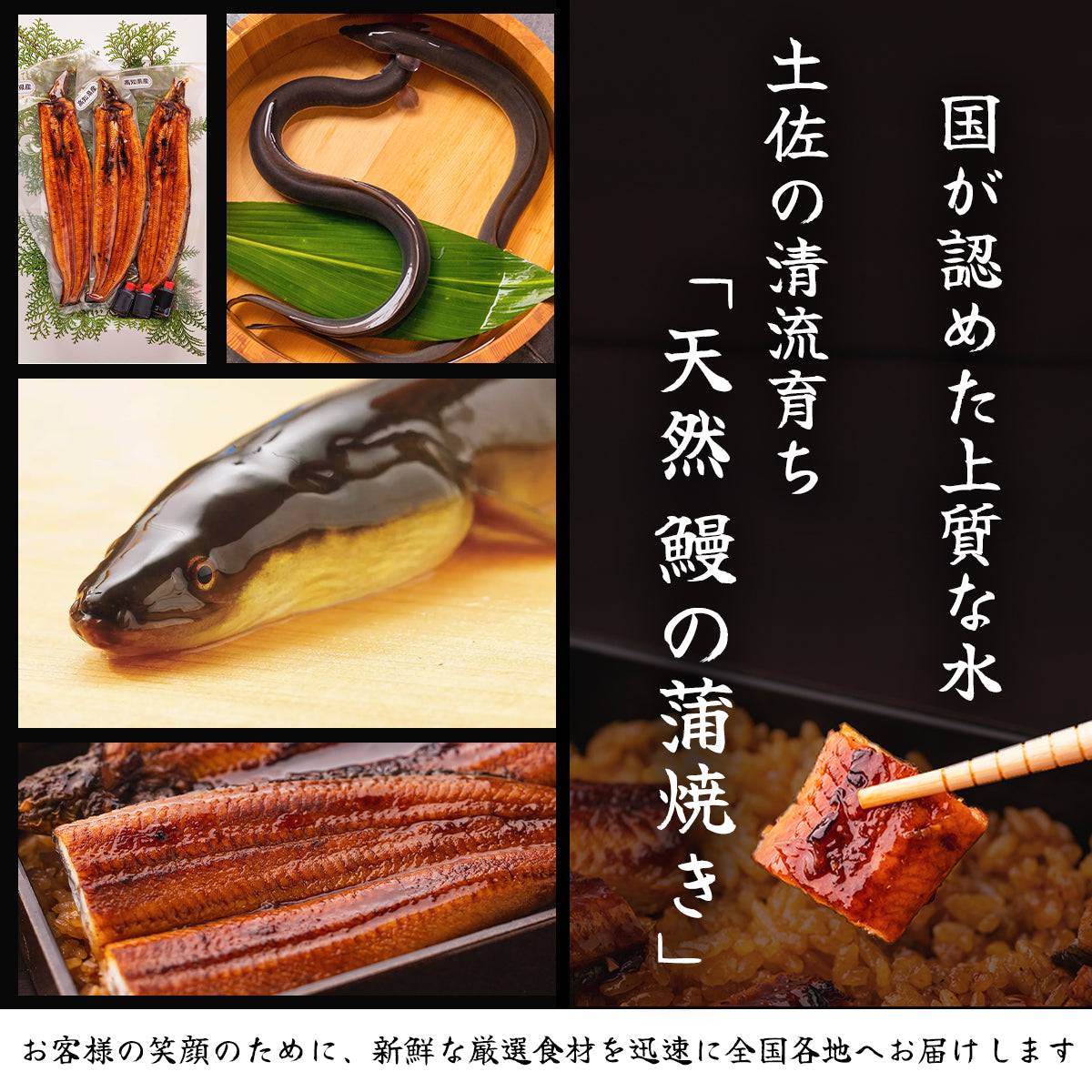 【ギフトセット】 生鰹のタタキ 1~2節 + 天然うなぎ 1~2尾 【土佐黒潮水産】公式オンラインショップ 黒潮水産