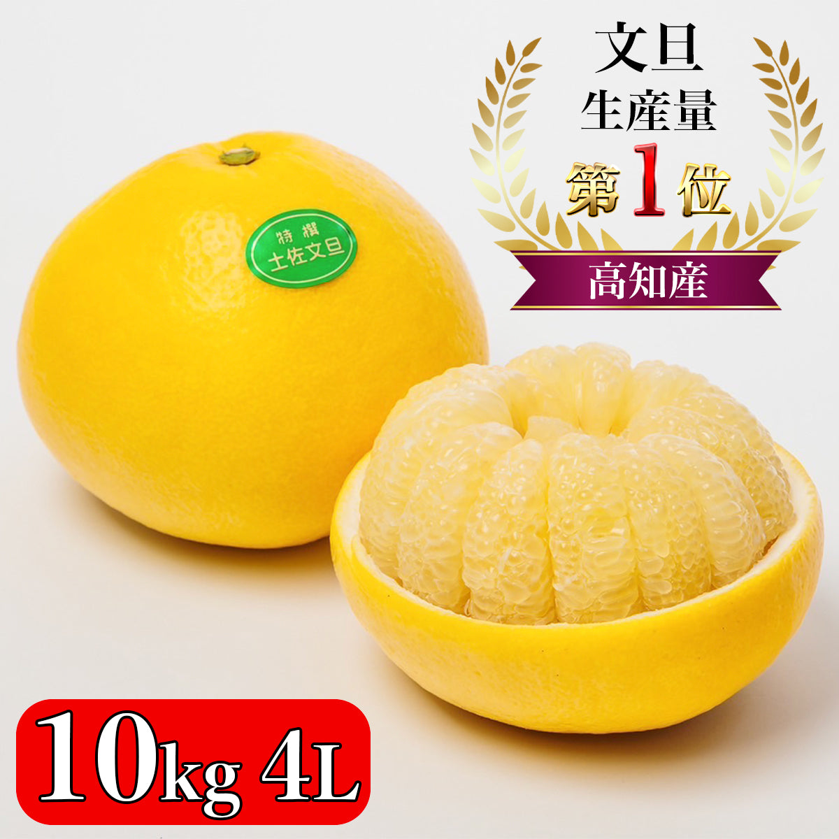 高知県産土佐文旦4Lサイズ約10kg - 果物