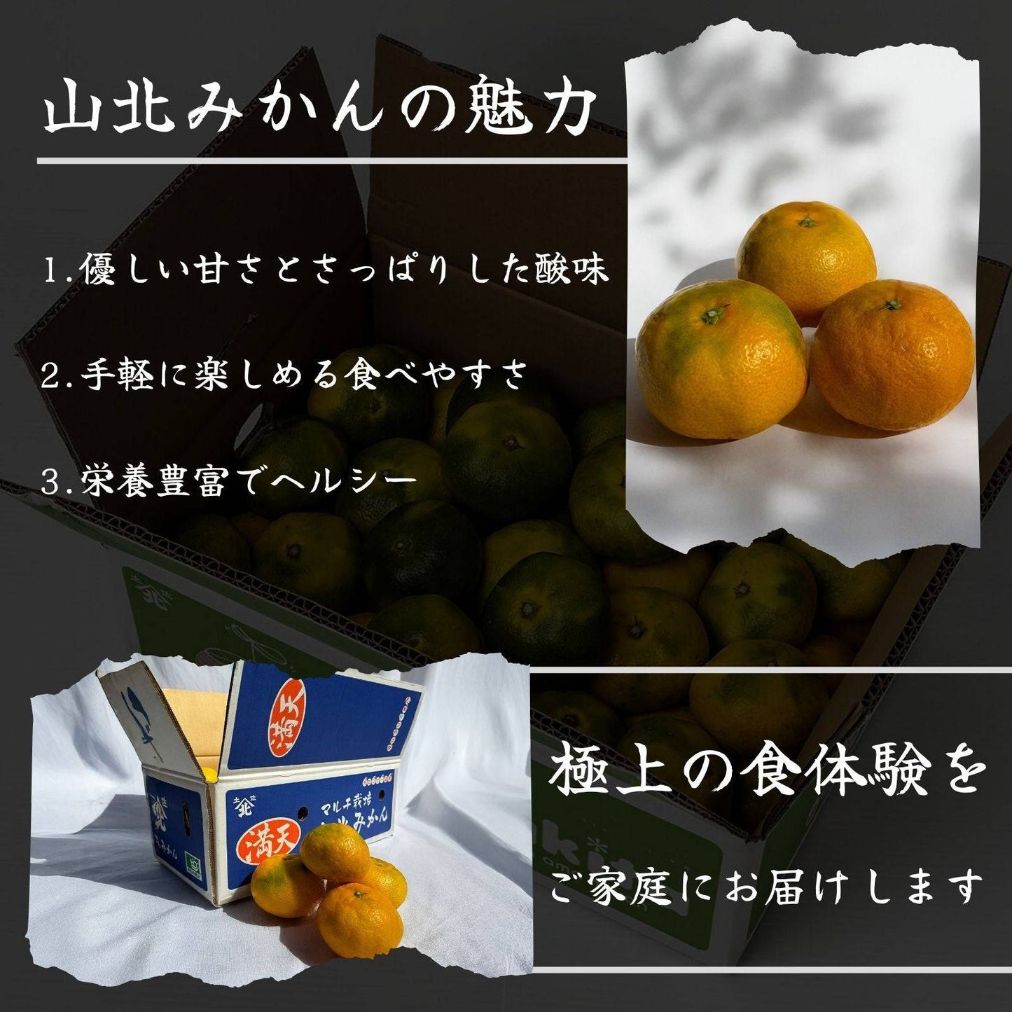 山北みかん <サイズ:S or L 量:5kg> 【土佐黒潮水産】公式オンラインショップ 黒潮水産