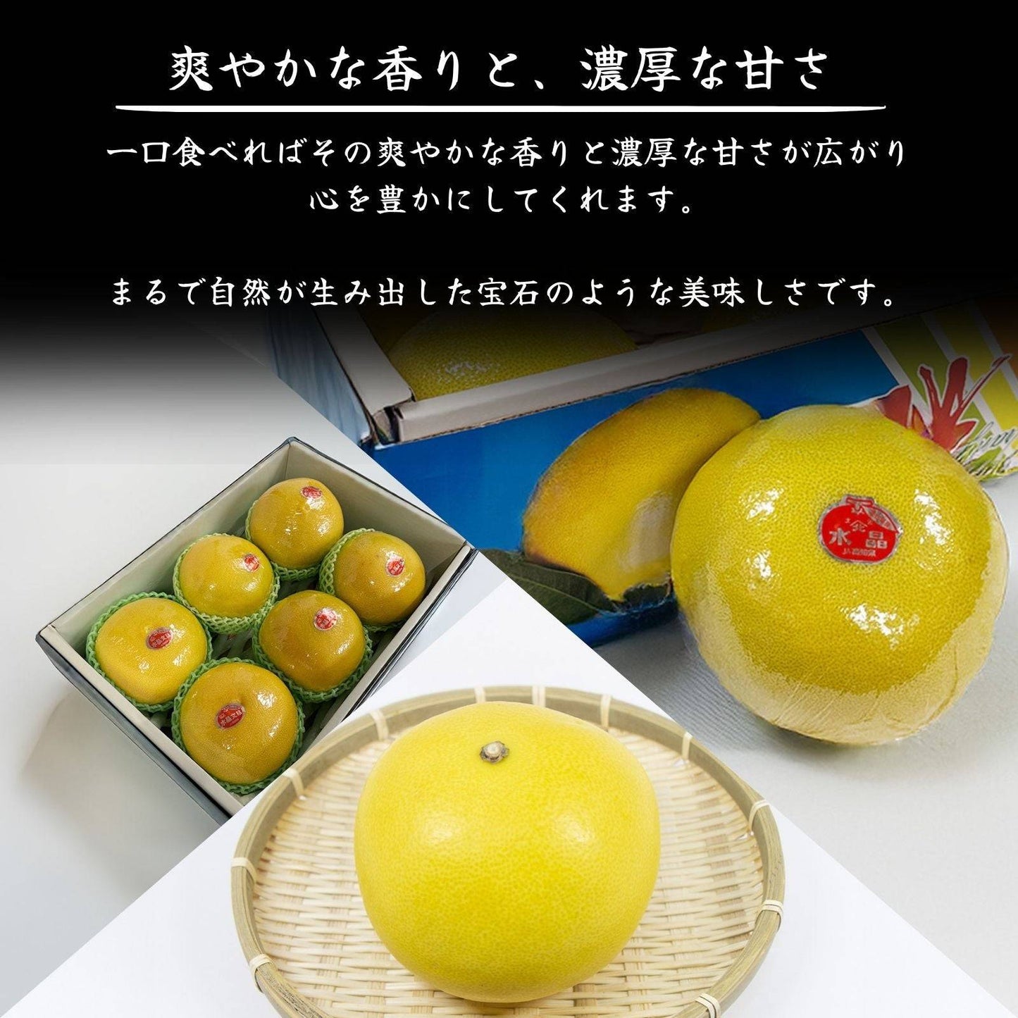 【訳アリ】水晶文旦 <量:5kg or 10kg>