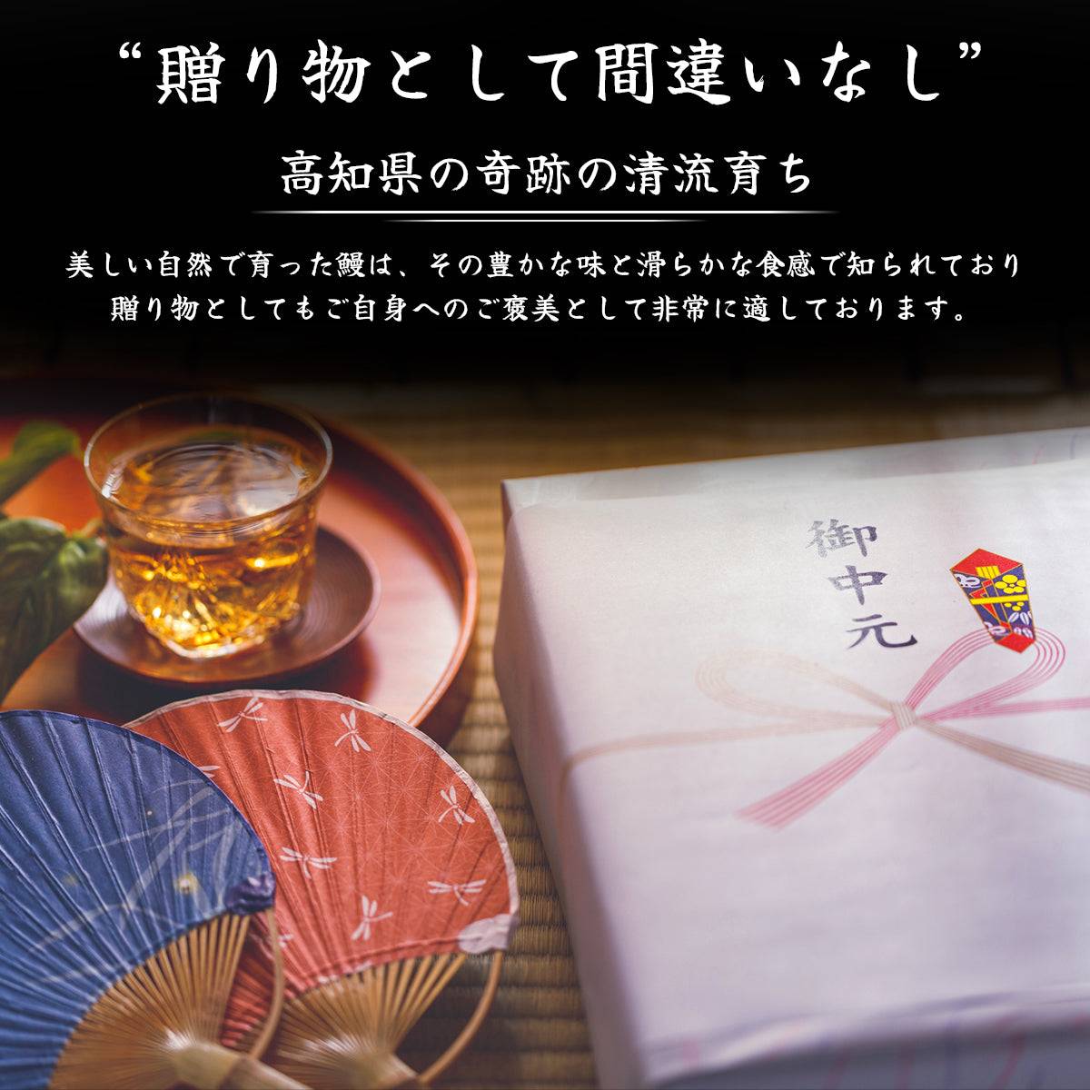 土佐の清流うなぎ 長蒲焼き <匹数:1~3尾 量:160~480g> 【土佐黒潮水産】公式オンラインショップ 黒潮水産