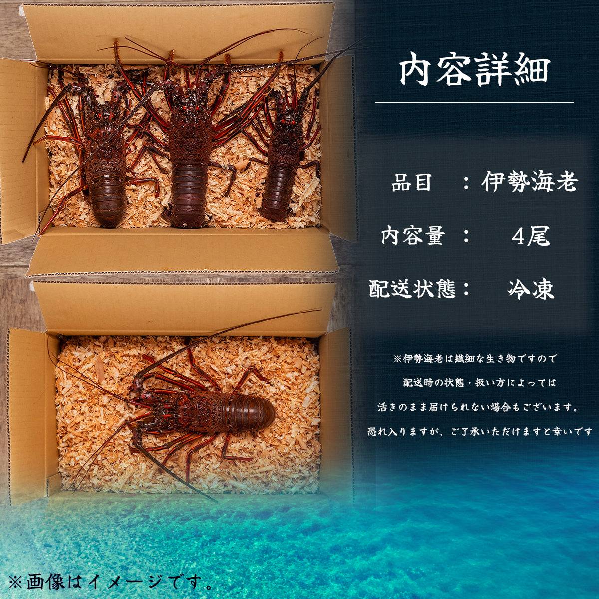 冷凍 伊勢海老 <匹数:1~3尾 量:300〜2100g 目安1.5〜6人前> 【土佐黒潮水産】公式オンラインショップ 黒潮水産