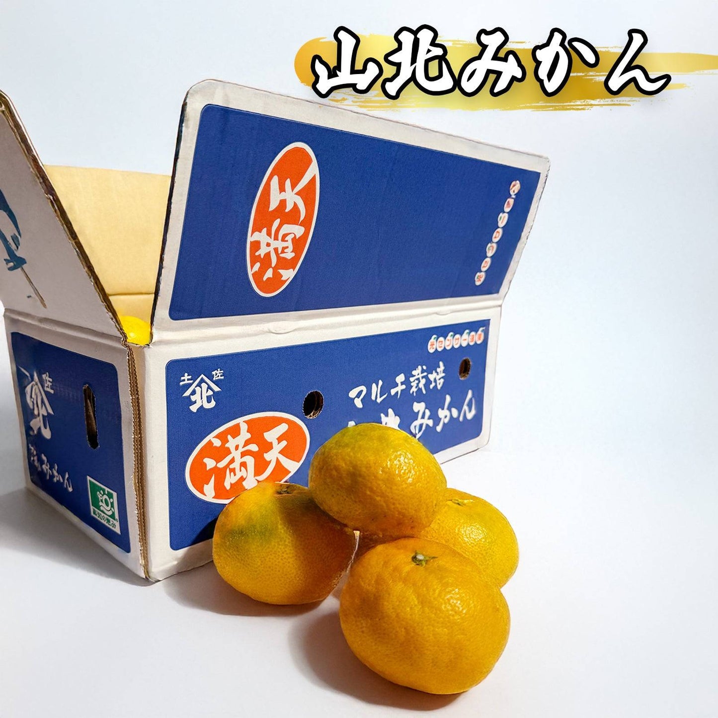 山北みかん <サイズ:S or L 量:5kg> 【土佐黒潮水産】公式オンラインショップ 黒潮水産