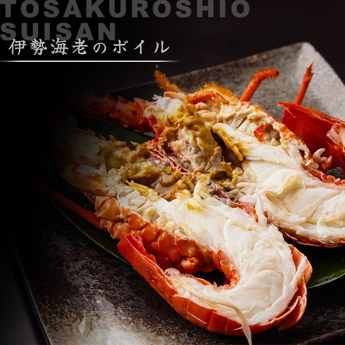 冷凍 伊勢海老 <匹数:1~3尾 量:300〜2100g 目安1.5〜6人前> 【土佐黒潮水産】公式オンラインショップ 黒潮水産