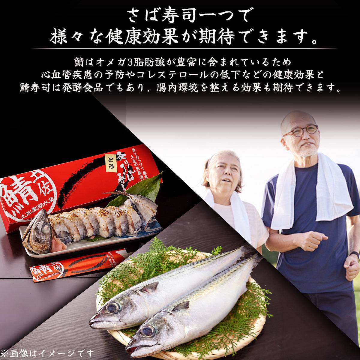 さば寿司 各種 <サバ寿司・姿サバ寿司・焼きサバ寿司・焼き姿サバ寿司 各種1~3人前> 【土佐黒潮水産】公式オンラインショップ 黒潮水産