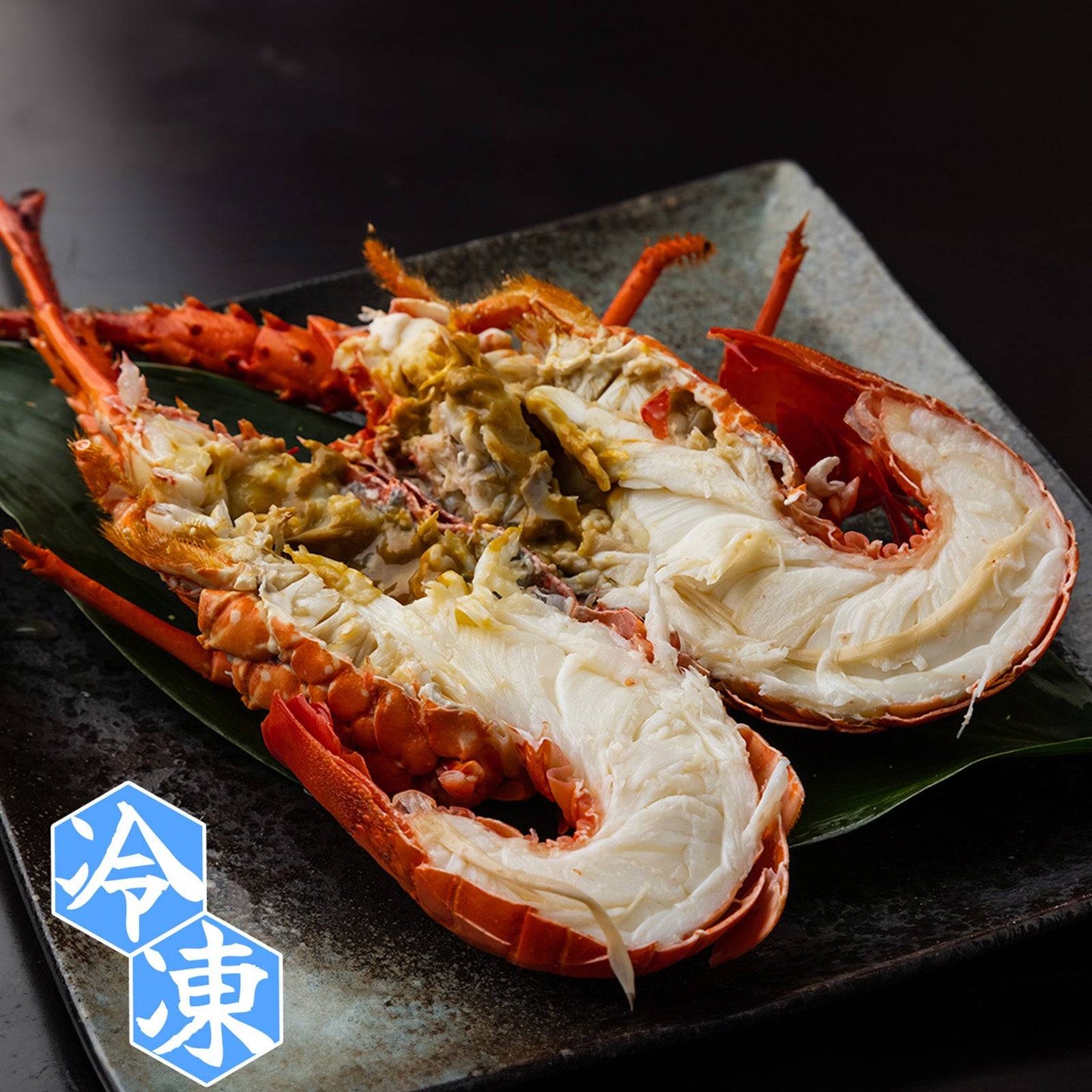 冷凍 伊勢海老 <匹数:1~3尾 量:300〜2100g 目安1.5〜6人前> 【土佐黒潮水産】公式オンラインショップ 黒潮水産
