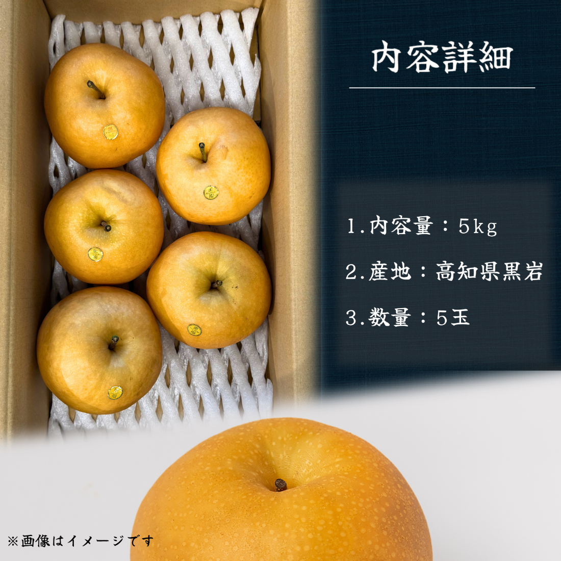 新高梨 高知県黒岩産<玉数:5玉 量:5kg>