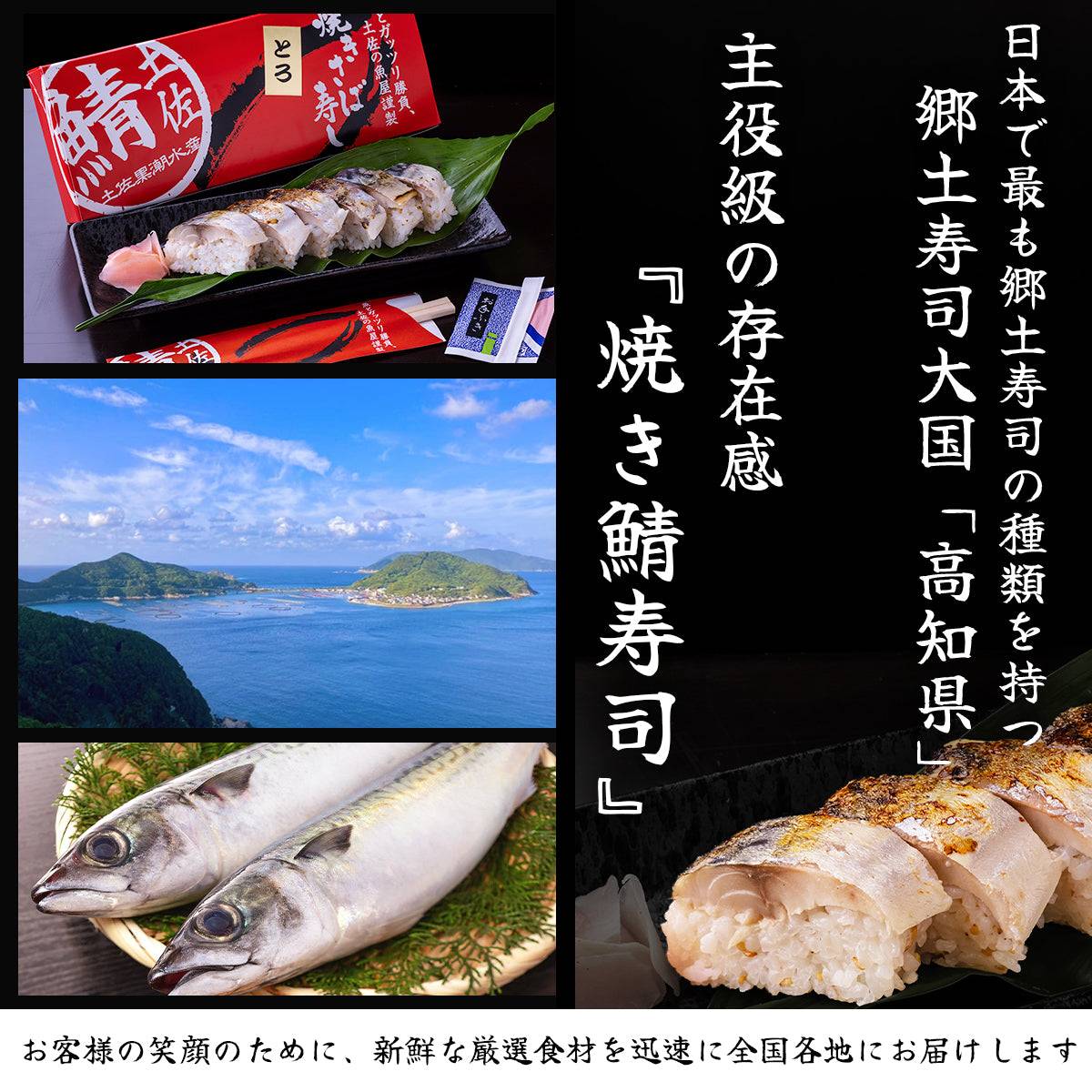 さば寿司 各種 <サバ寿司・姿サバ寿司・焼きサバ寿司・焼き姿サバ寿司 各種1~3人前> 【土佐黒潮水産】公式オンラインショップ 黒潮水産