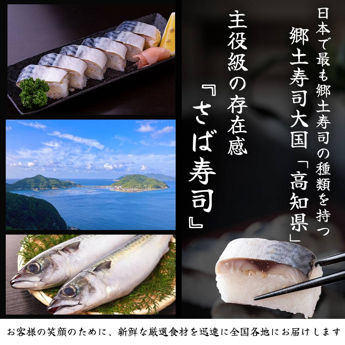 さば寿司 各種 <サバ寿司・姿サバ寿司・焼きサバ寿司・焼き姿サバ寿司 各種1~3人前> 【土佐黒潮水産】公式オンラインショップ 黒潮水産