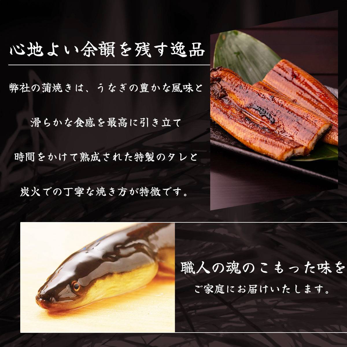 土佐の清流うなぎ 長蒲焼き <匹数:1~3尾 量:160~480g> 【土佐黒潮水産】公式オンラインショップ 黒潮水産