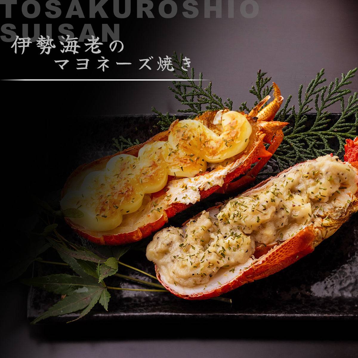 冷凍 伊勢海老 <匹数:1~3尾 量:300〜2100g 目安1.5〜6人前> 【土佐黒潮水産】公式オンラインショップ 黒潮水産