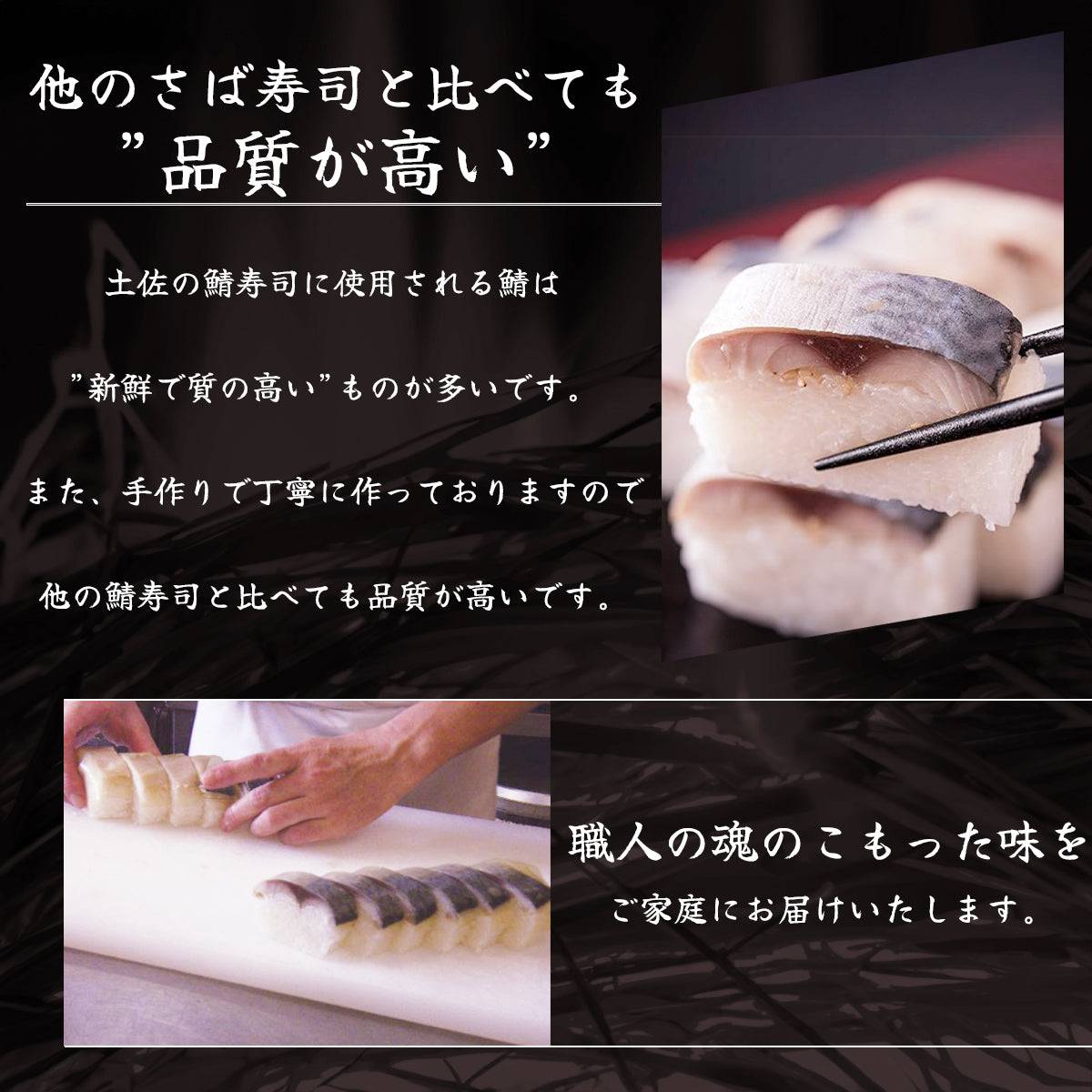 さば寿司 各種 <サバ寿司・姿サバ寿司・焼きサバ寿司・焼き姿サバ寿司 各種1~3人前> 【土佐黒潮水産】公式オンラインショップ 黒潮水産