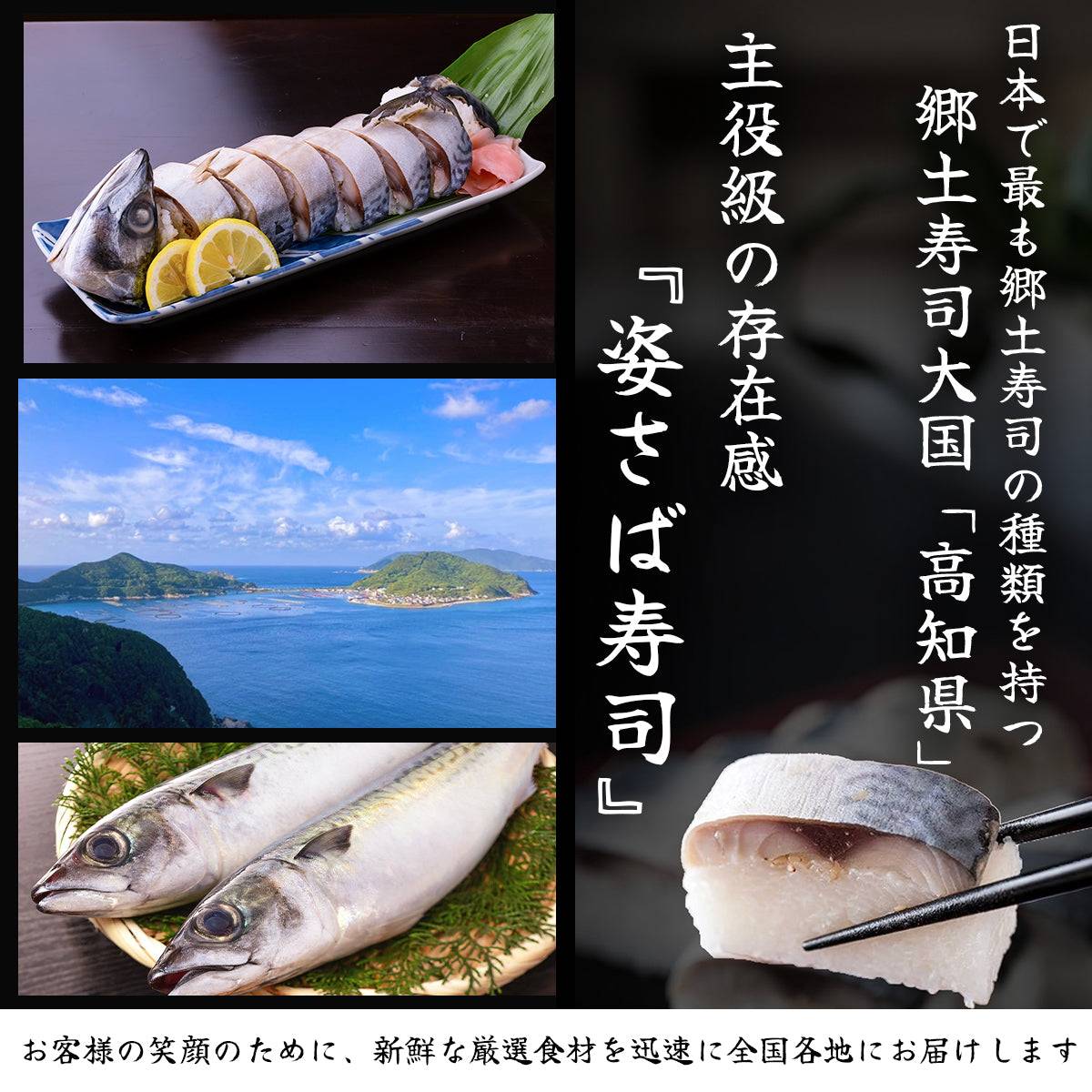 さば寿司 各種 <サバ寿司・姿サバ寿司・焼きサバ寿司・焼き姿サバ寿司 各種1~3人前> 【土佐黒潮水産】公式オンラインショップ 黒潮水産
