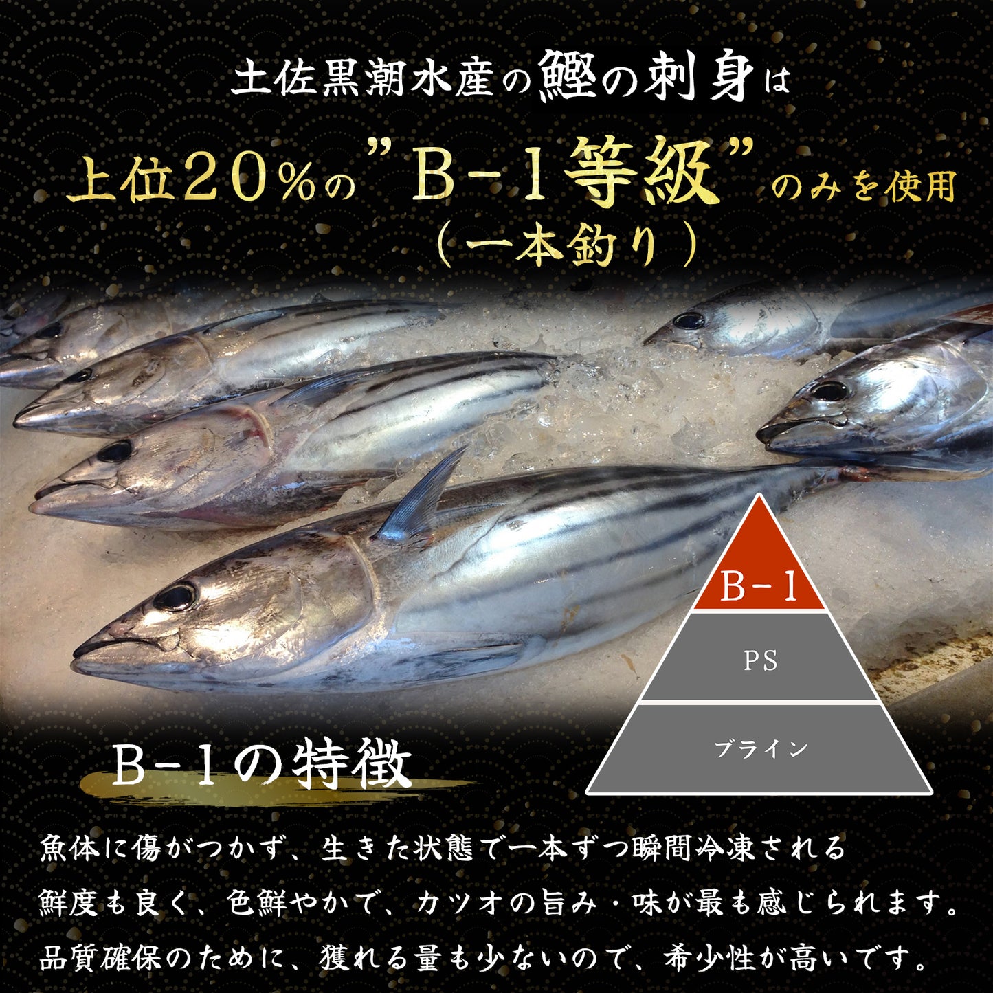 冷凍カツオの刺身 <本数:半本(×2)〜3本セット 量:500~1500g 目安:2~9人前>
