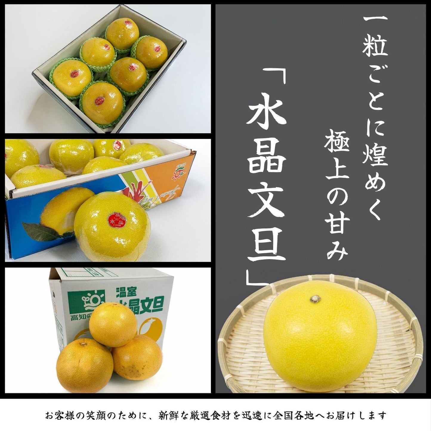 【訳アリ】水晶文旦 <量:5kg or 10kg>
