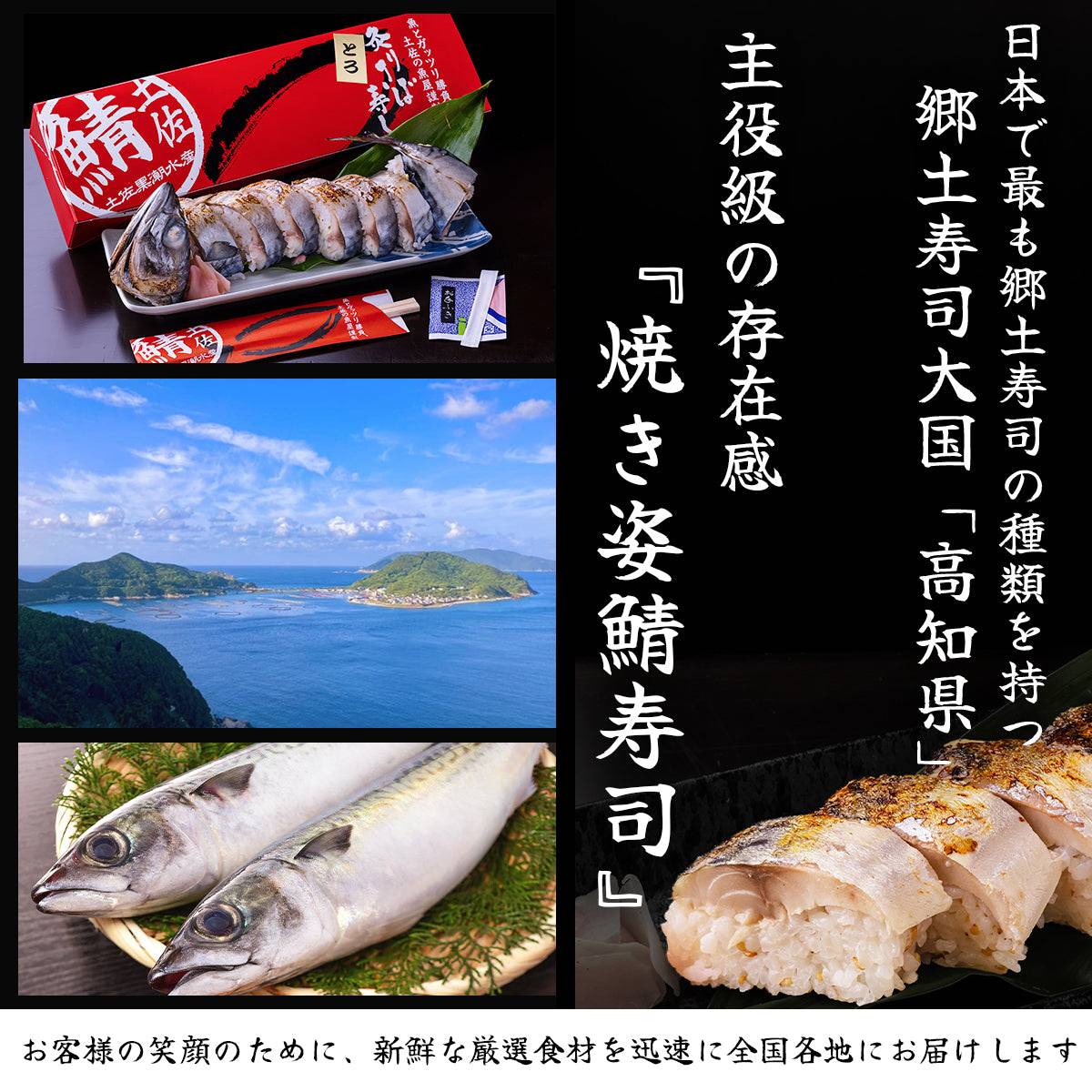 さば寿司 各種 <サバ寿司・姿サバ寿司・焼きサバ寿司・焼き姿サバ寿司 各種1~3人前> 【土佐黒潮水産】公式オンラインショップ 黒潮水産