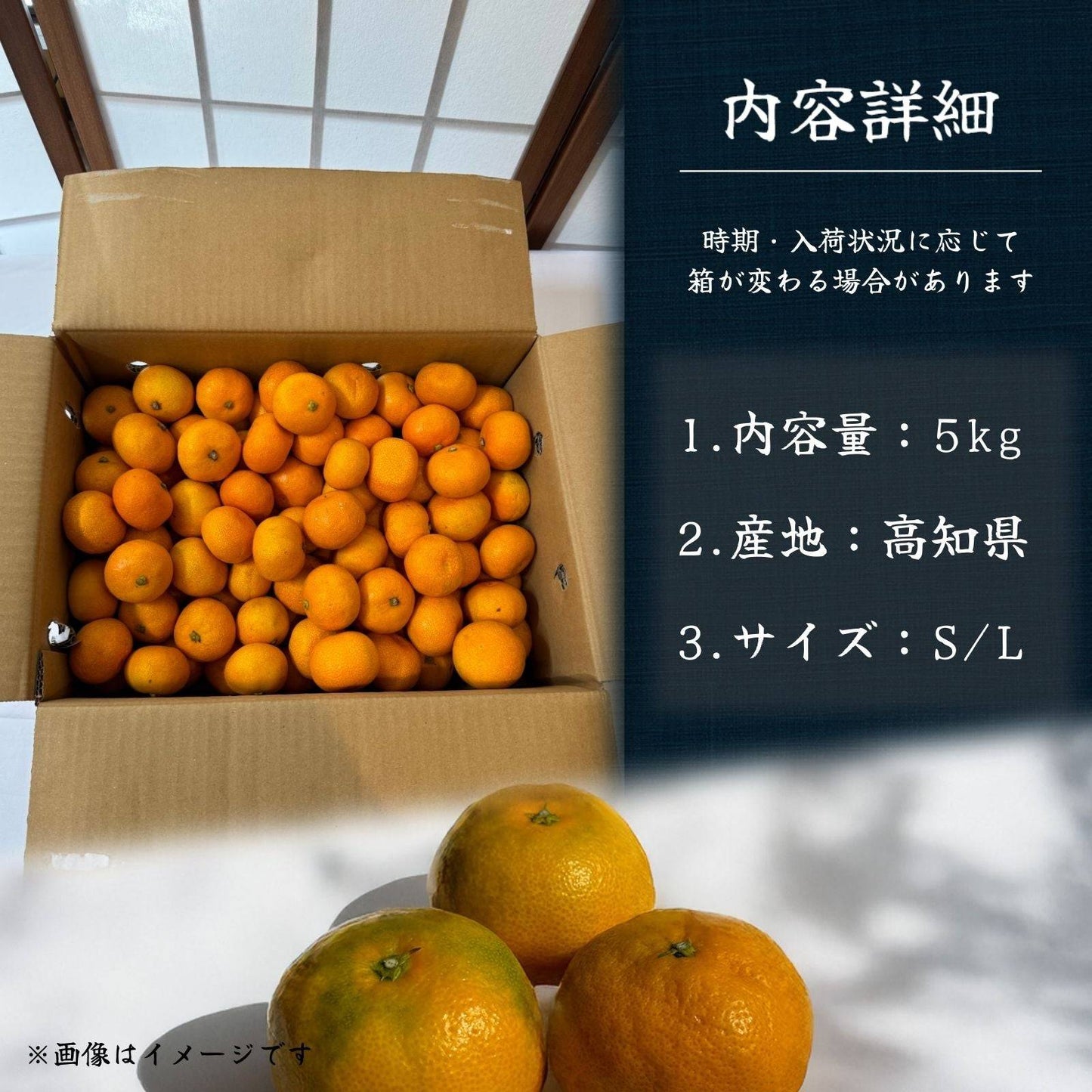 山北みかん <サイズ:S or L 量:5kg> 【土佐黒潮水産】公式オンラインショップ 黒潮水産