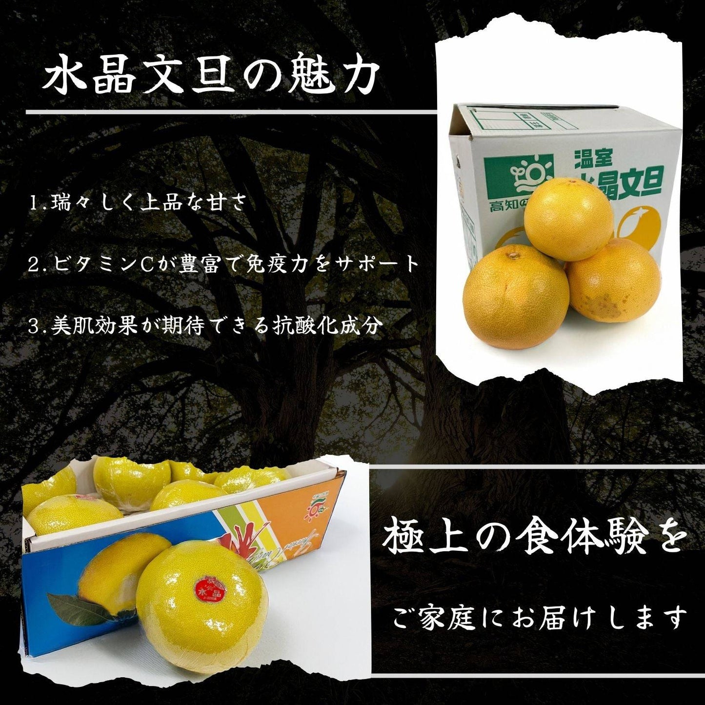 【訳アリ】水晶文旦 <量:5kg or 10kg>