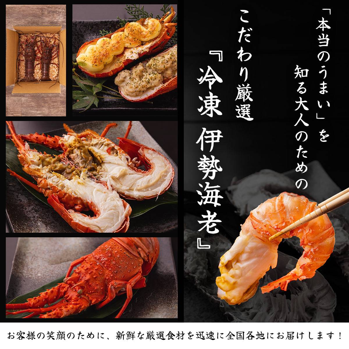 冷凍 伊勢海老 <匹数:1~3尾 量:300〜2100g 目安1.5〜6人前> 【土佐黒潮水産】公式オンラインショップ 黒潮水産