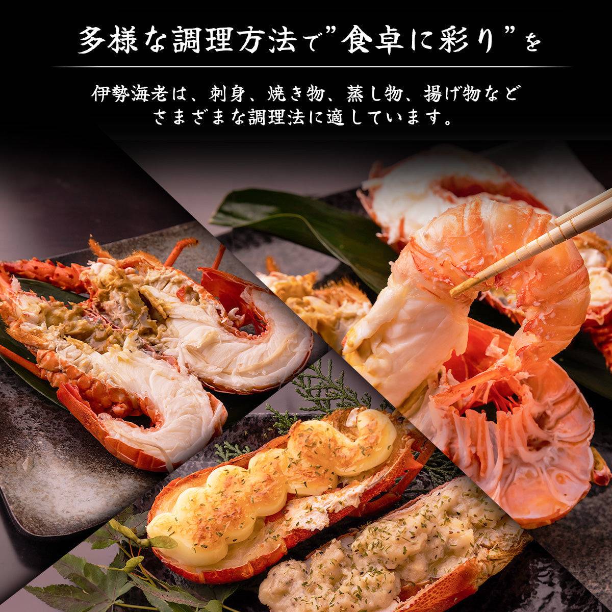 冷凍 伊勢海老 <匹数:1~3尾 量:300〜2100g 目安1.5〜6人前> 【土佐黒潮水産】公式オンラインショップ 黒潮水産