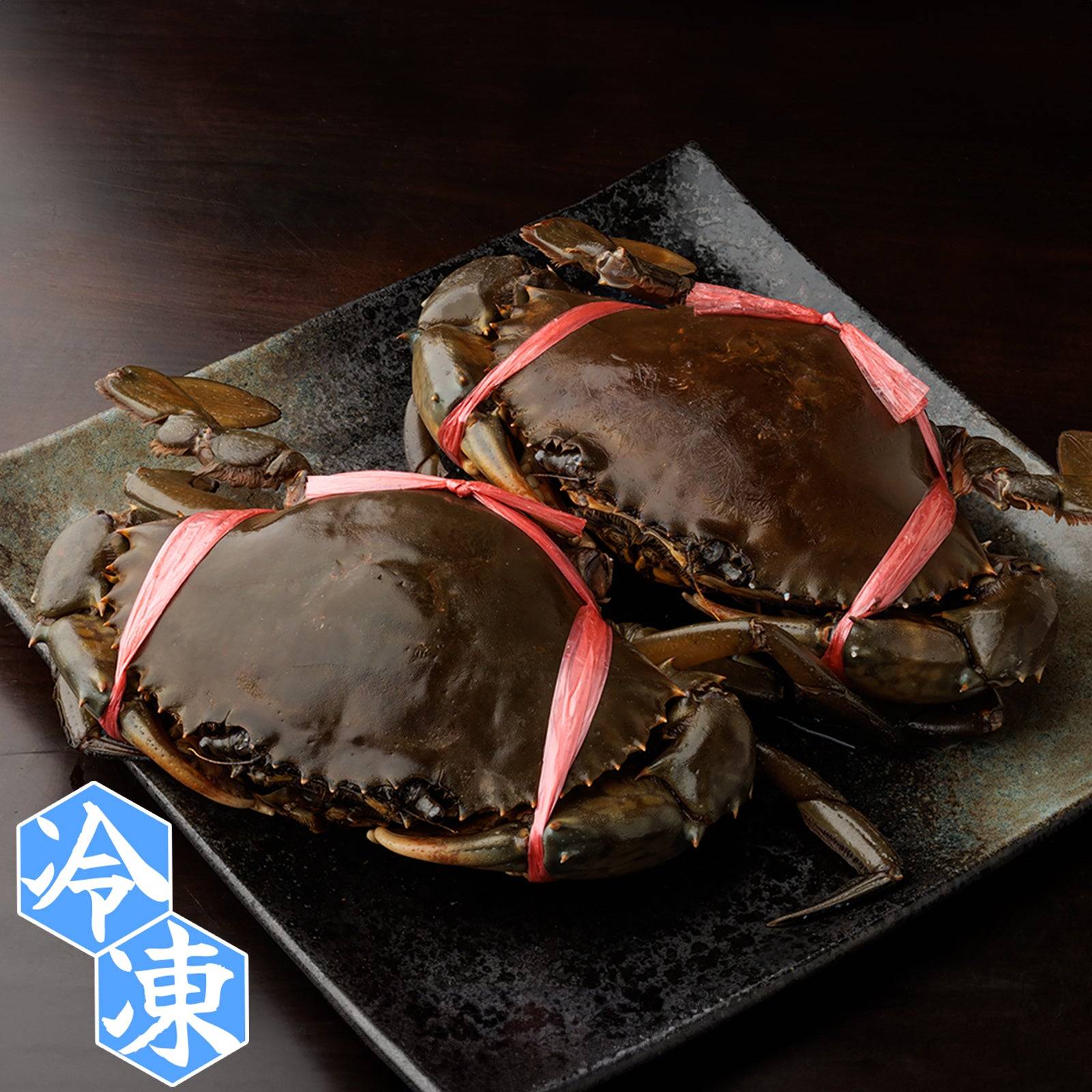 - 冷凍 - エガニ ＜ 匹数：1~2匹 量：260g〜1.3kg サイズ：小~特大＞ 【土佐黒潮水産】公式オンラインショップ 黒潮水産