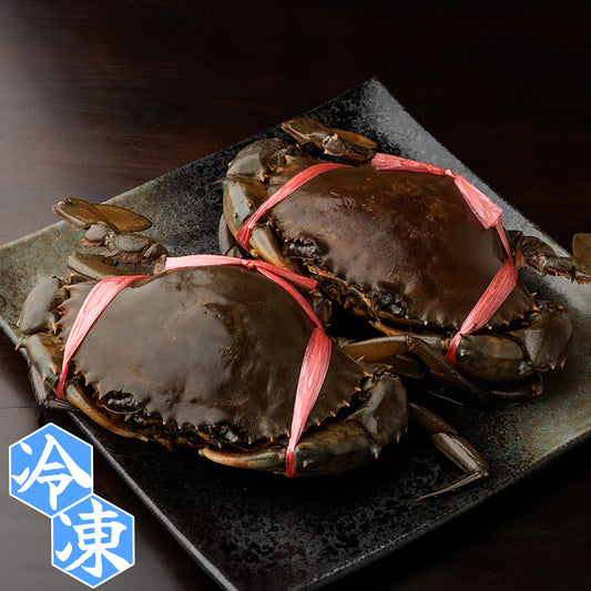 土佐黒潮水産からの逸品、高知県沖で獲れた新鮮なエガニ、繊細な味わいと豊かな旨味が特徴