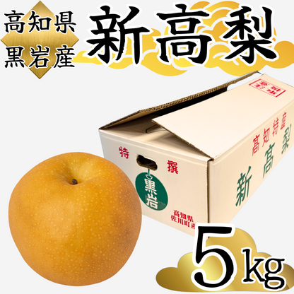 新高梨　高知県黒岩産＜玉数：5玉　量：5kg＞