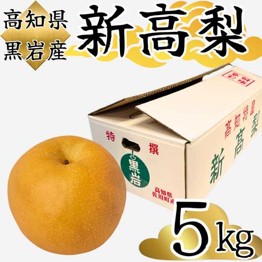 新高梨　高知県黒岩産＜玉数：5玉　量：5kg＞