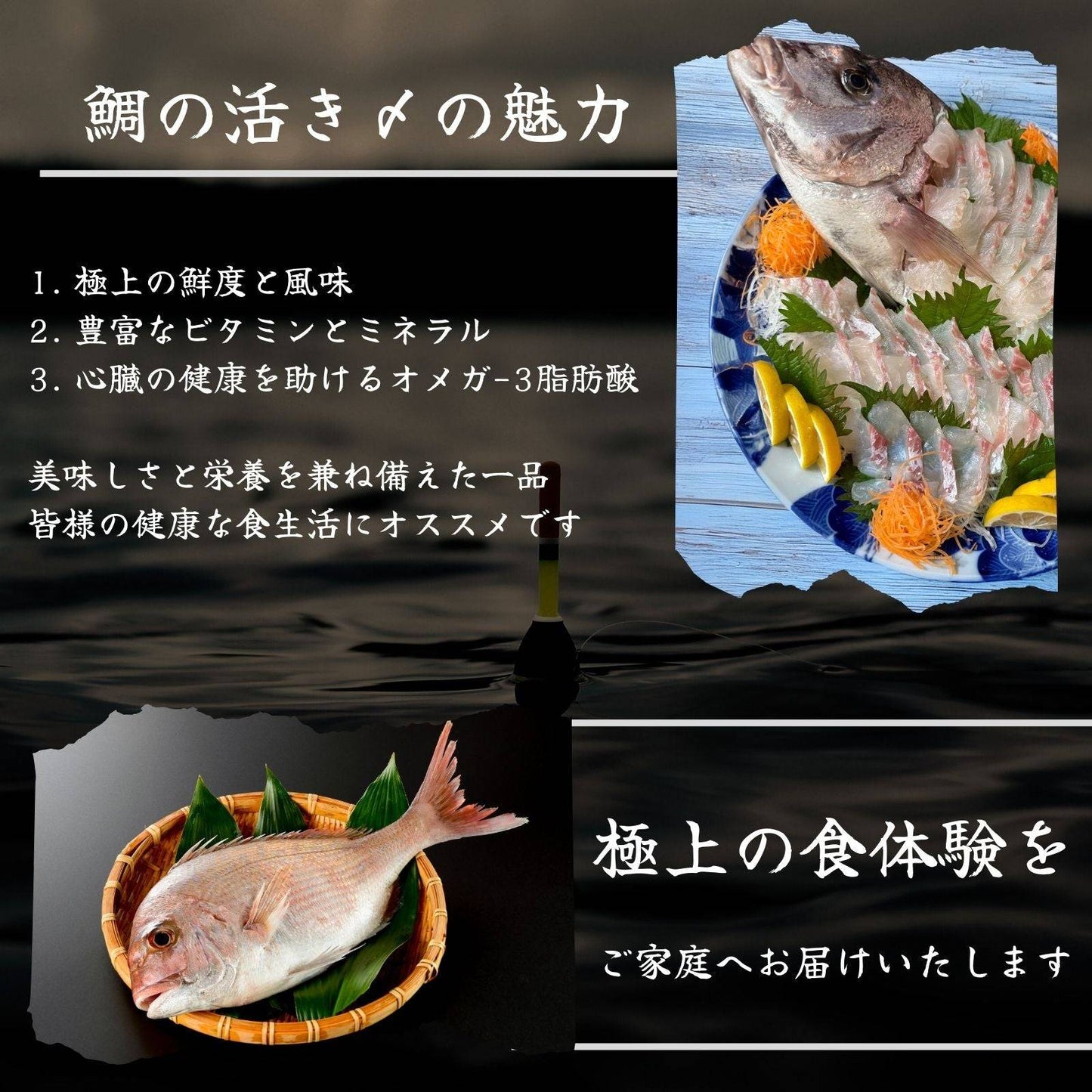 鯛の活き〆 <1kg> 【土佐黒潮水産】公式オンラインショップ 黒潮水産