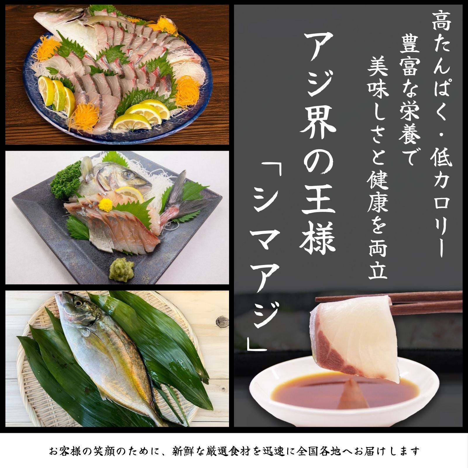 シマアジ ＜刺身 量：300g＞ 【土佐黒潮水産】公式オンラインショップ 黒潮水産