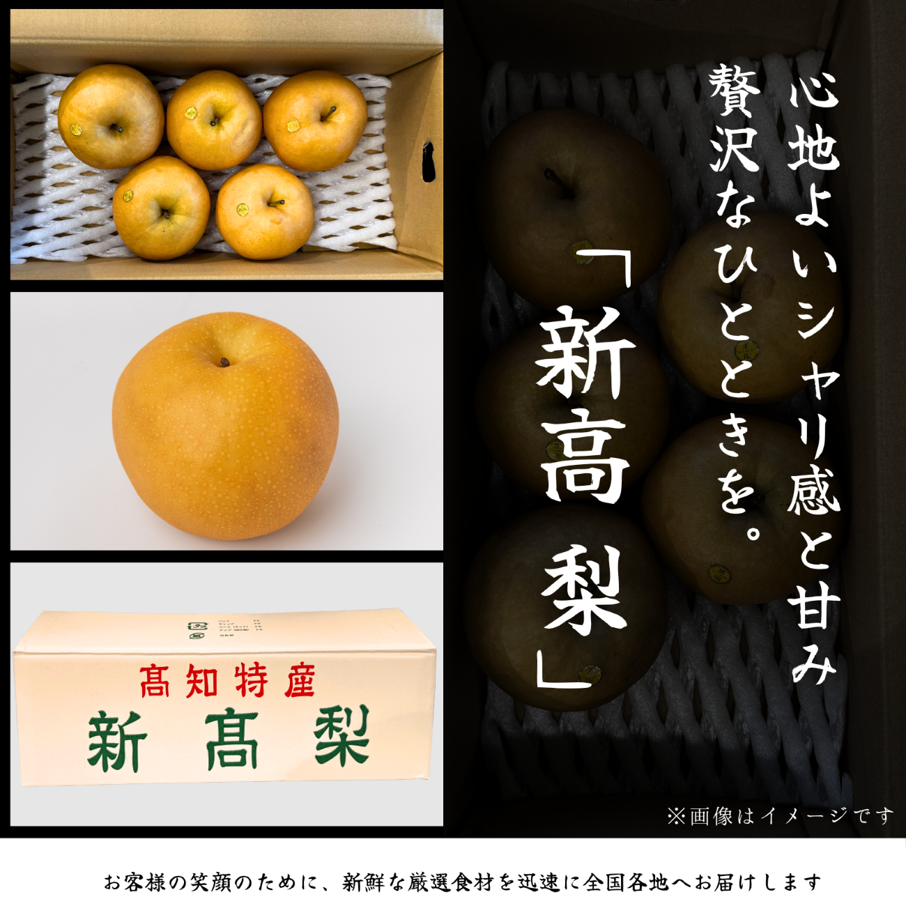 新高梨　高知県黒岩産＜玉数：5玉　量：5kg＞