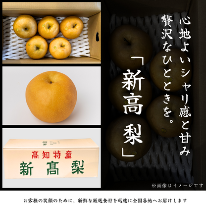 新高梨　高知県黒岩産＜玉数：5玉　量：5kg＞