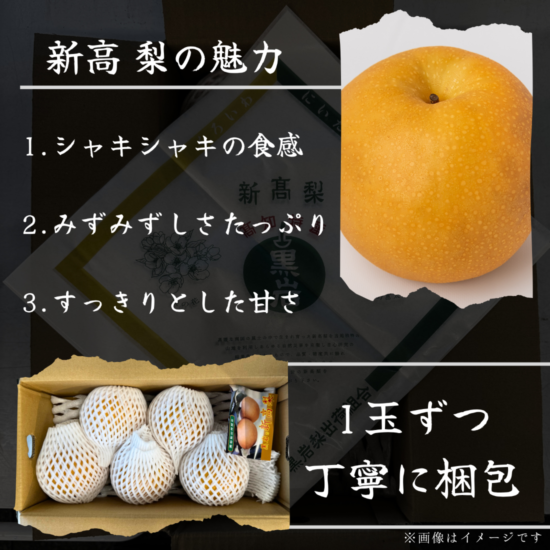 新高梨　高知県黒岩産＜玉数：5玉　量：5kg＞