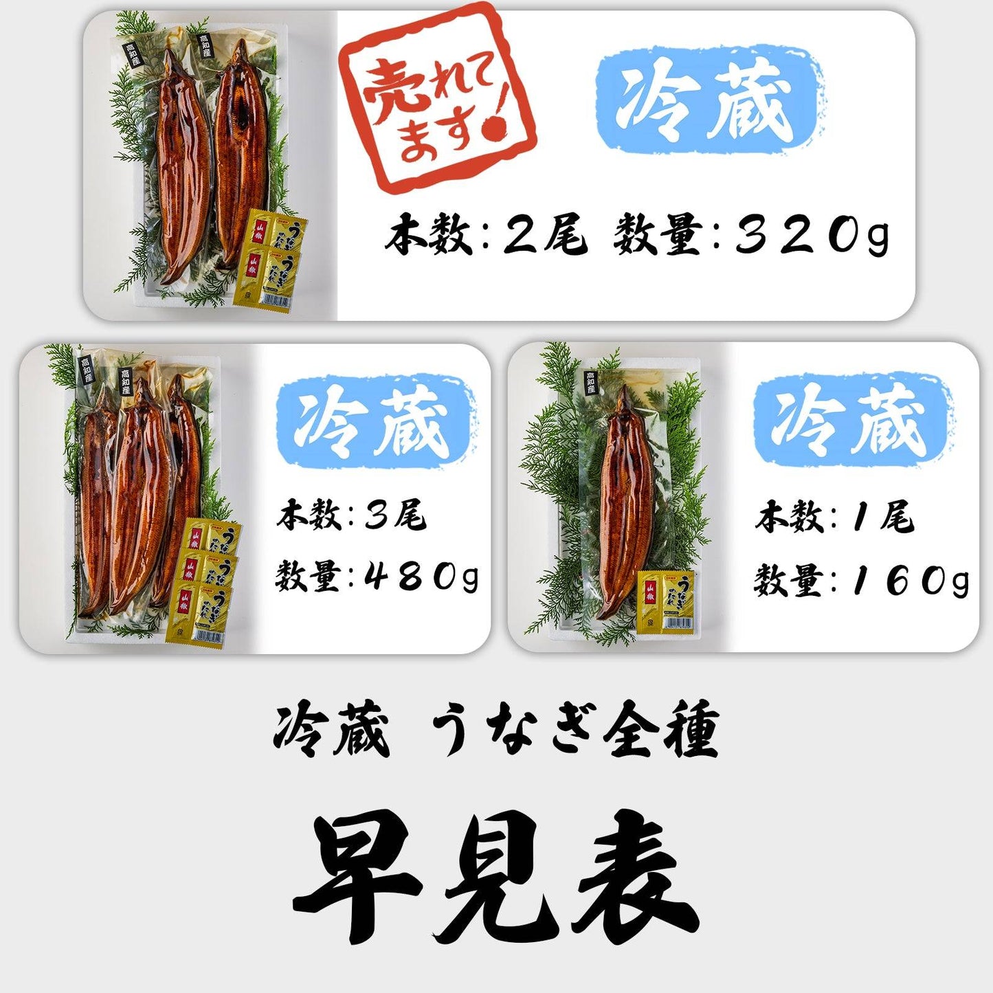 土佐の清流うなぎ 長蒲焼き ＜匹数：1~3尾　量：160~480g＞