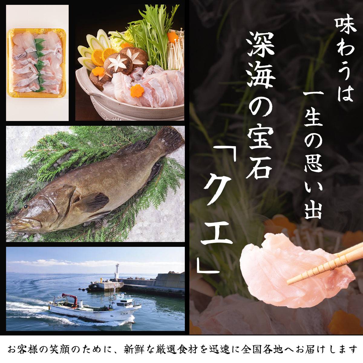 クエ ＜量：300~500g 目安：2〜4人前＞ 【土佐黒潮水産】公式オンラインショップ 黒潮水産