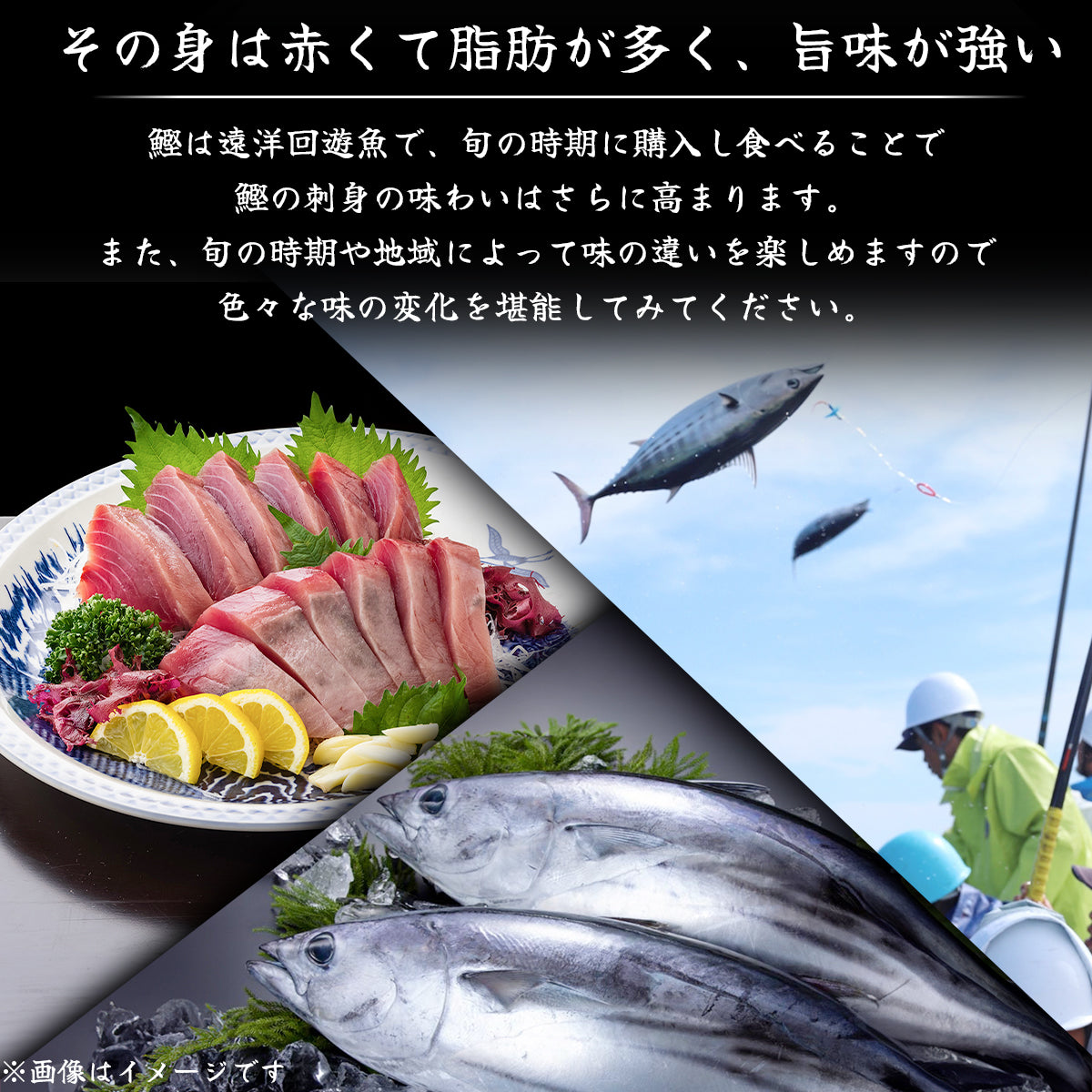 土佐黒潮水産特選、高知県沖で捕れた新鮮なカツオの刺身、独特の赤身と豊かな旨味が特徴
