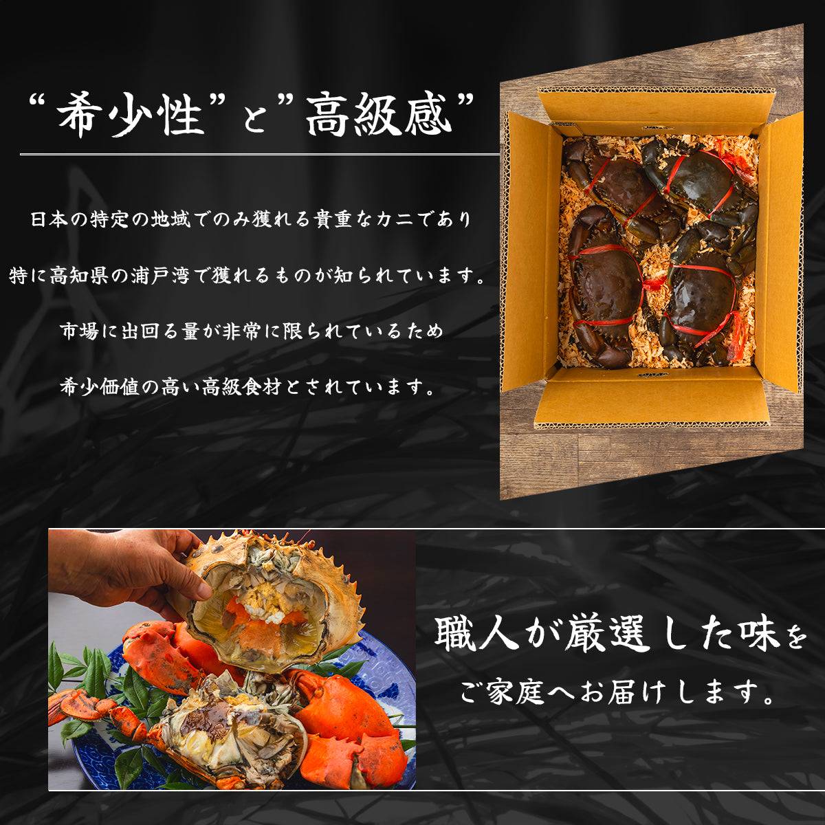 - 活き - エガニ ＜匹数：1~2匹 量：260g〜1.3kg サイズ：小~特大＞ 【土佐黒潮水産】公式オンラインショップ 黒潮水産