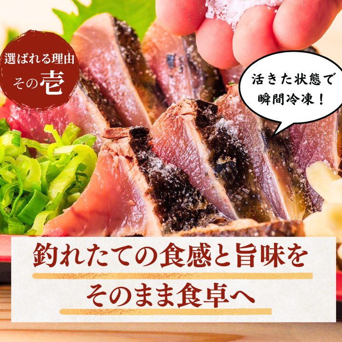 藁焼き -冷凍- 訳あり 鰹のタタキ　＜量：1kg~3kg　目安本数：2~8本＞