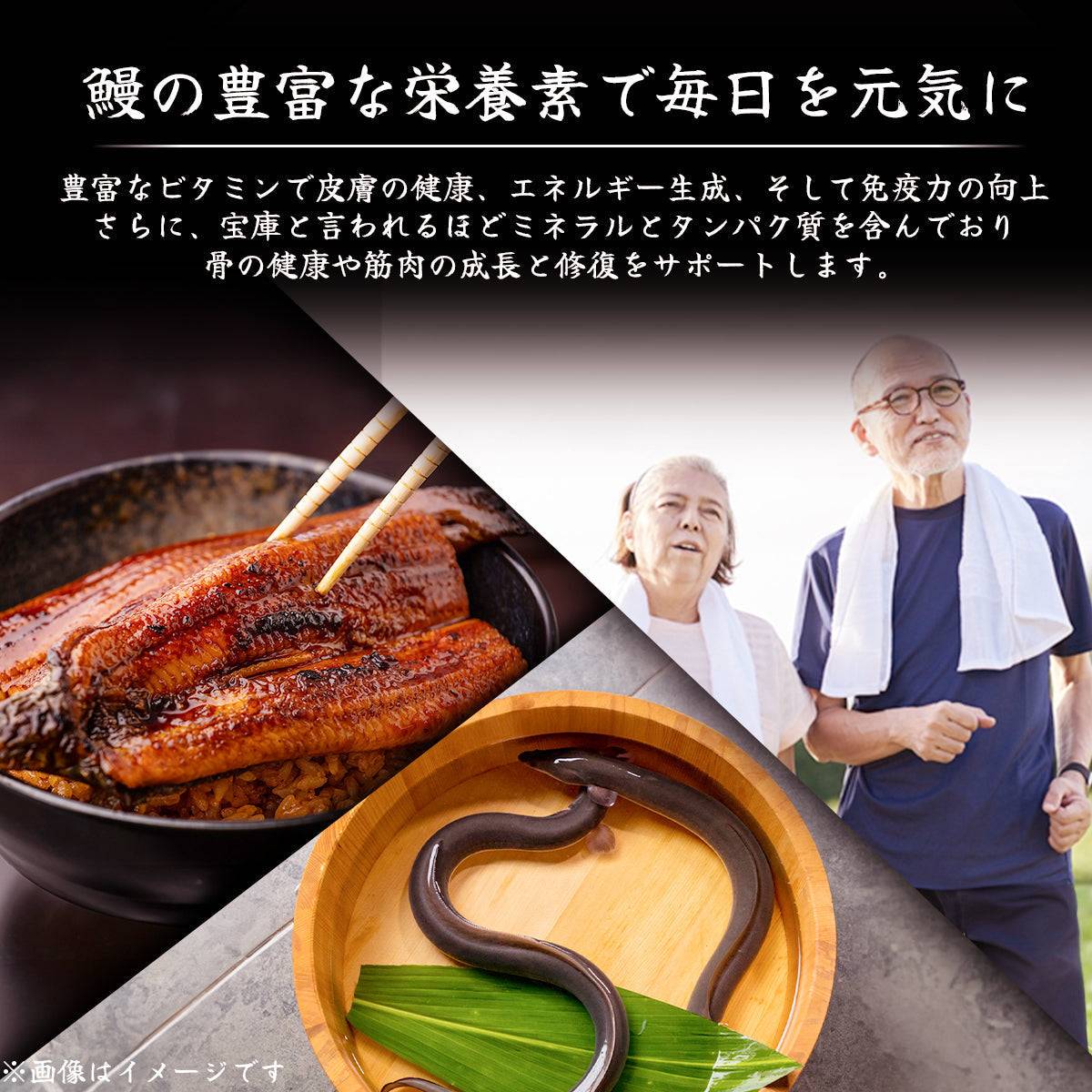 土佐の清流 天然うなぎ 長蒲焼き ＜匹数：1~3尾　量：110~480g＞