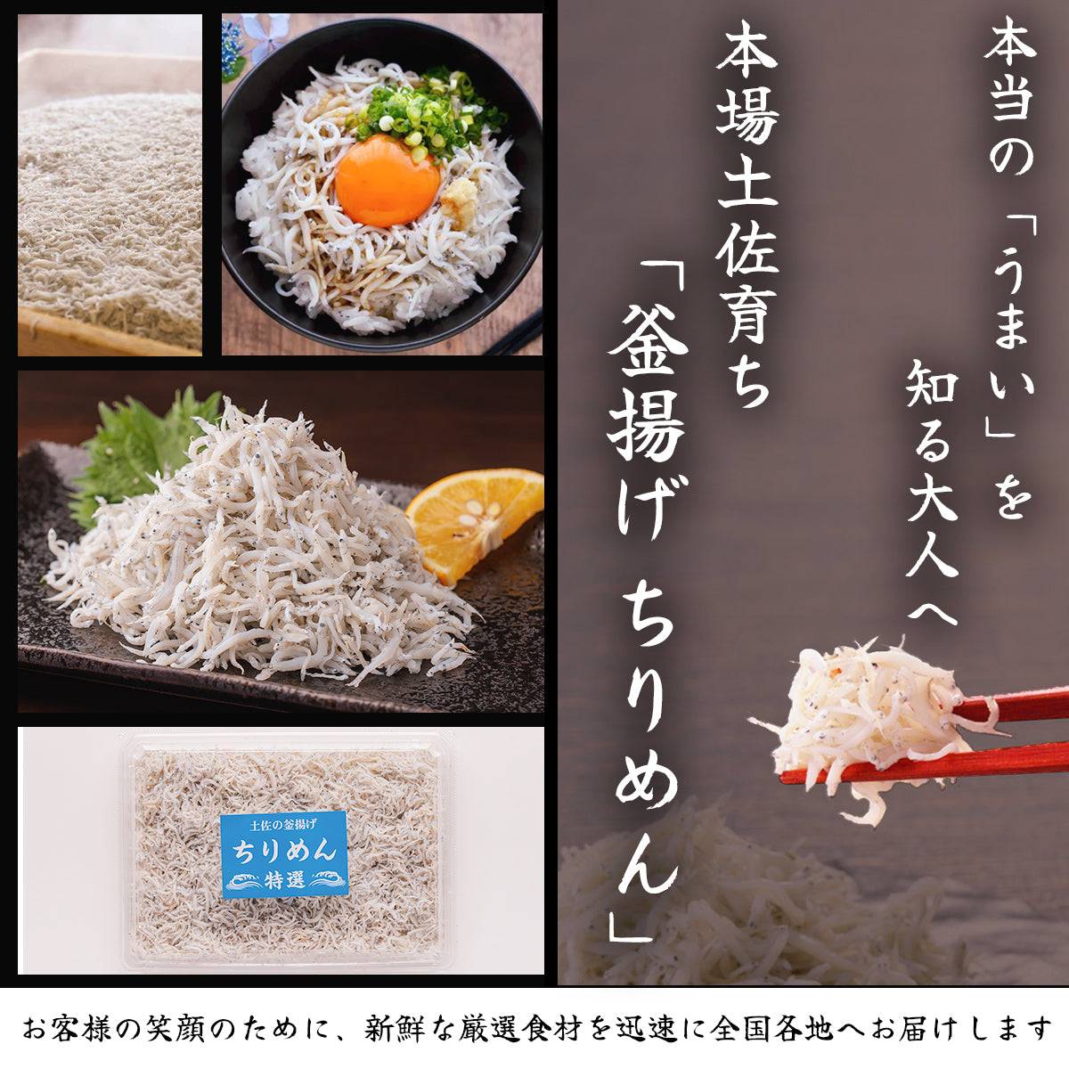 釜揚げちりめん ＜量：1kg＞ 【土佐黒潮水産】公式オンラインショップ 黒潮水産