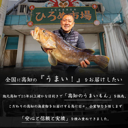 土佐黒潮水産特選、高知県産の新鮮な伊勢海老、鮮やかな赤色とプリプリの食感が特徴