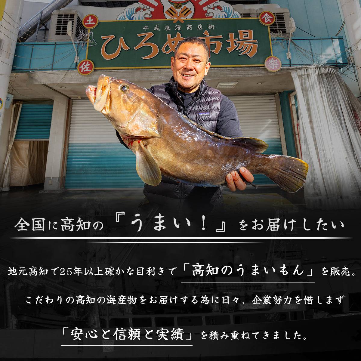 土佐黒潮水産特選、高知県沖で捕れた新鮮なカツオの刺身、独特の赤身と豊かな旨味が特徴