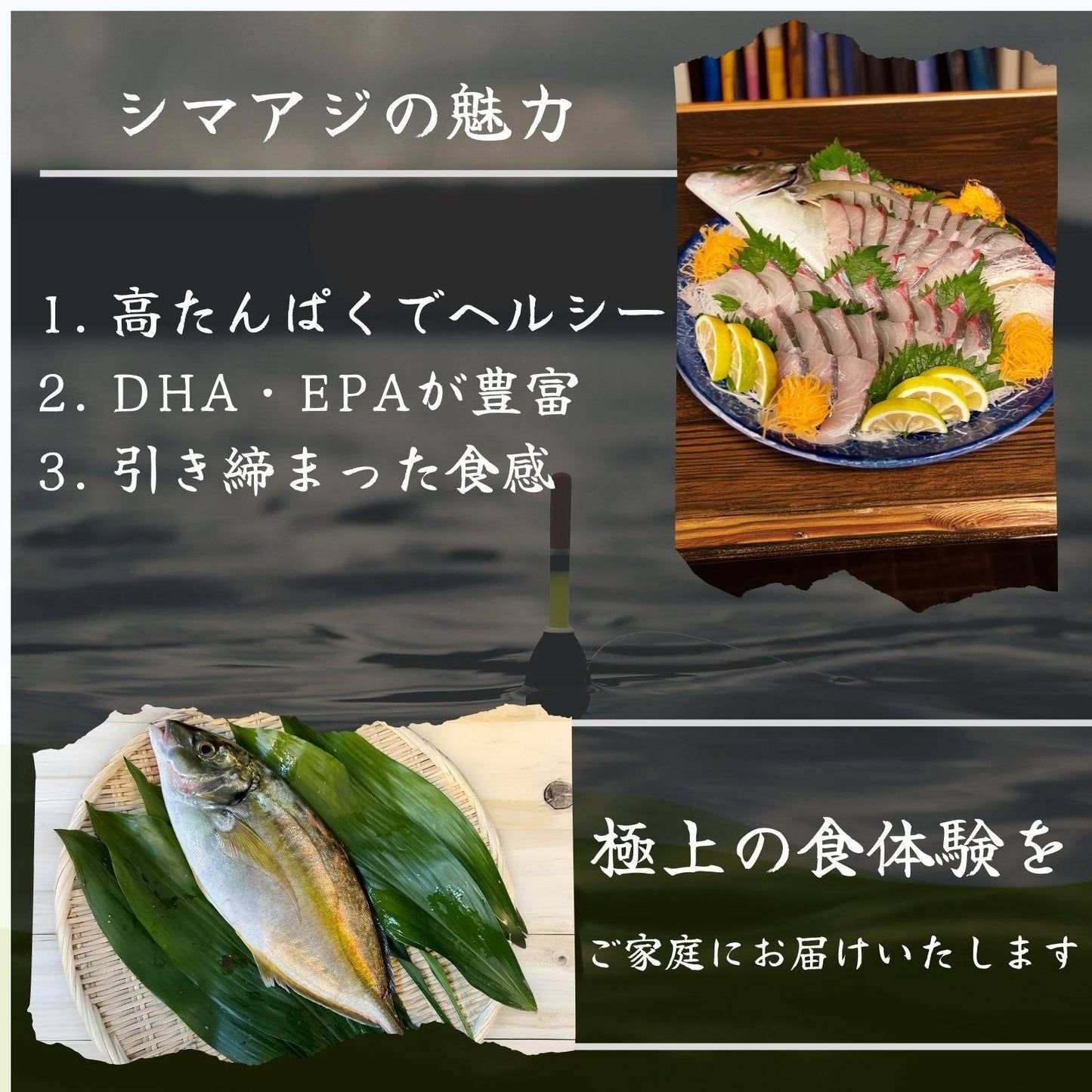 シマアジ ＜刺身 量：300g＞ 【土佐黒潮水産】公式オンラインショップ 黒潮水産