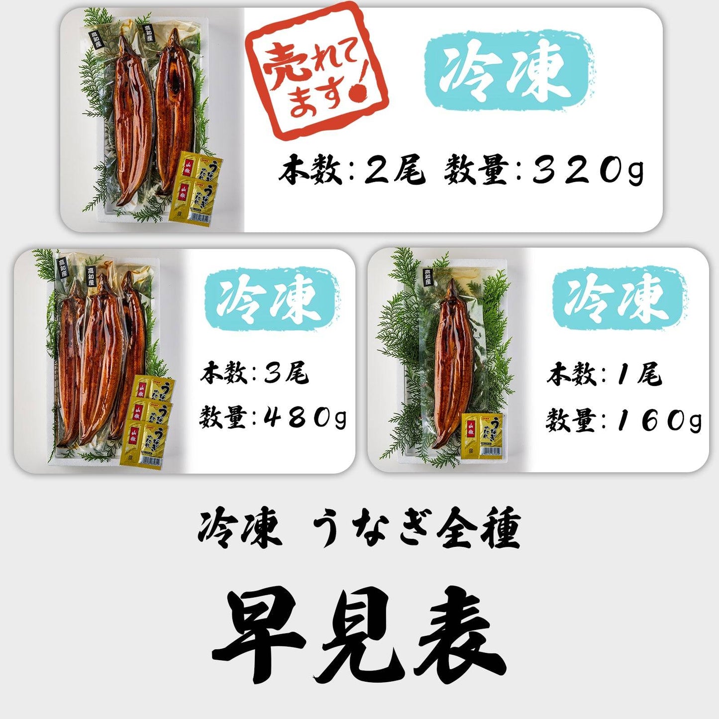 土佐の清流うなぎ 長蒲焼き ＜匹数：1~3尾 量：160~480g＞ 【土佐黒潮水産】公式オンラインショップ 黒潮水産