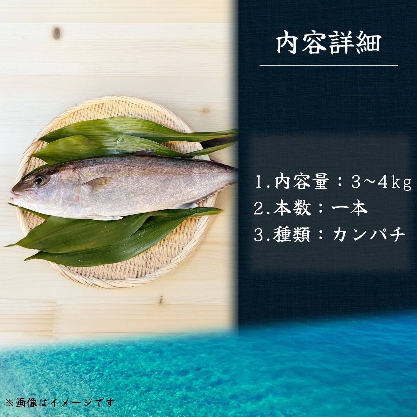 カンパチ ＜一本 量：3～4kg＞ 【土佐黒潮水産】公式オンラインショップ 黒潮水産