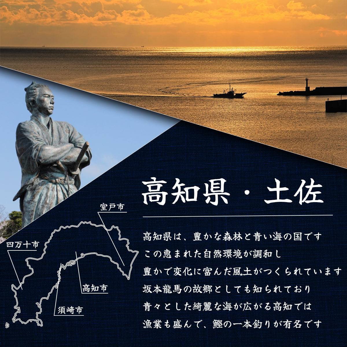 土佐黒潮水産特選、高知県沖で捕れた新鮮なカツオの刺身、独特の赤身と豊かな旨味が特徴