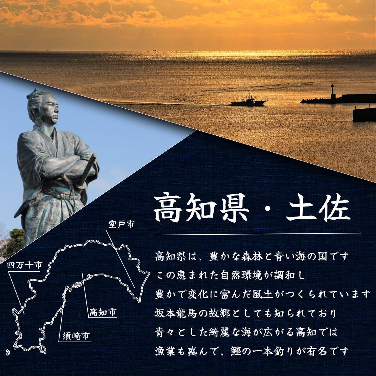 土佐黒潮水産特選、高知県産の新鮮な伊勢海老、鮮やかな赤色とプリプリの食感が特徴