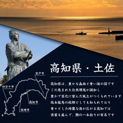 土佐黒潮水産特選、高知県産の新鮮な伊勢海老、鮮やかな赤色とプリプリの食感が特徴