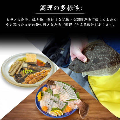 ヒラメ ＜一柵 量：300g＞ 【土佐黒潮水産】公式オンラインショップ 黒潮水産