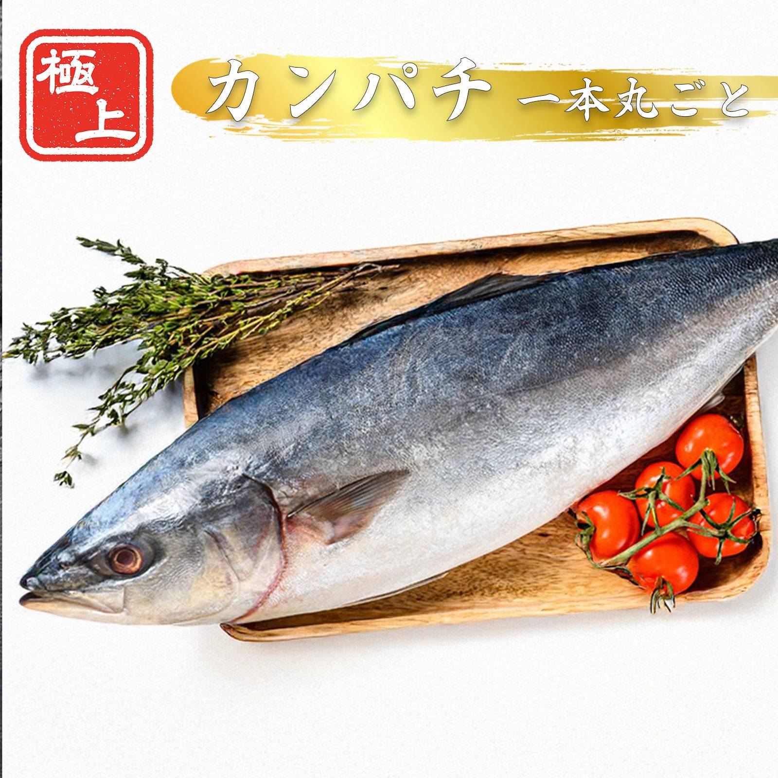 カンパチ ＜一本 量：3～4kg＞ 【土佐黒潮水産】公式オンラインショップ 黒潮水産